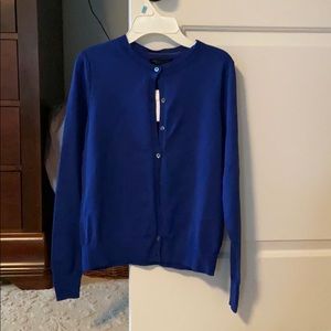 Banana Republic Royal Blue Sweater